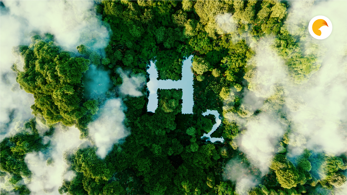 The Role of Energy Attribute Certificates in Green Hydrogen Production